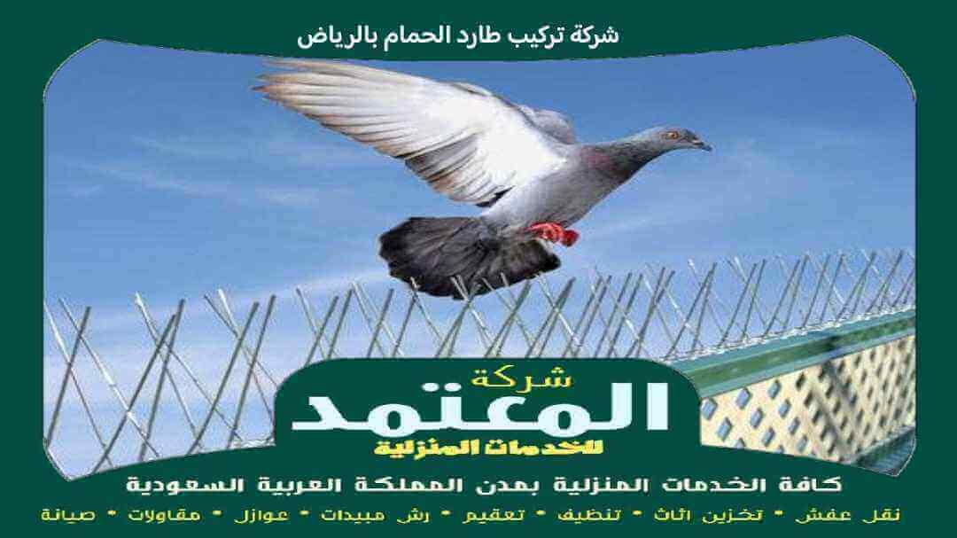 شركة تركيب طارد الحمام بالرياض معتمدة
